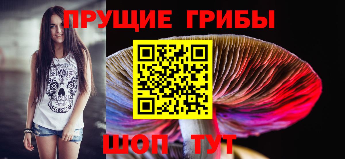 Михайловск  Галлюциногенные грибы MAGIC MUSHROOMS  Вход с VPN 